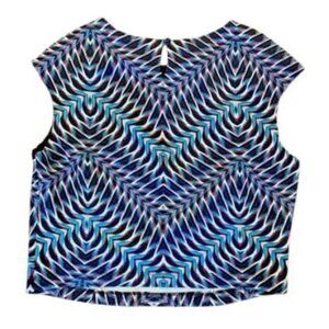 Bisou Bisou Cap Sleeve Pullover Scuba Crop Top